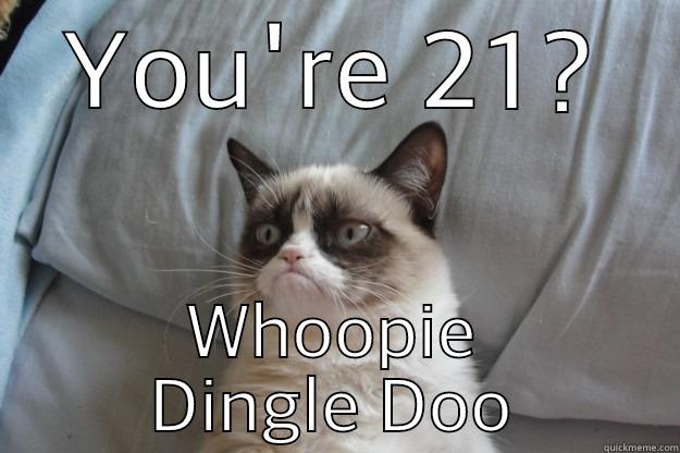 YOU'RE 21? WHOOPIE DINGLE DOO Grumpy Cat