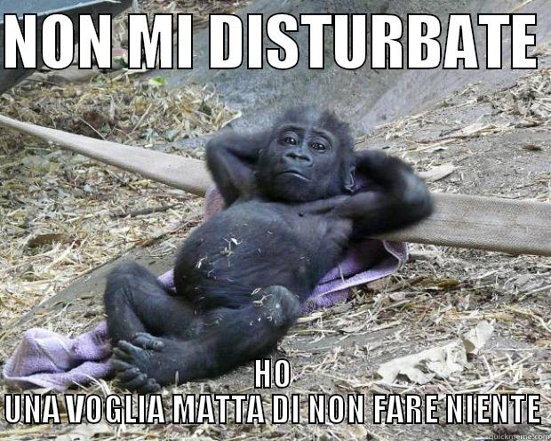 lol lol lol lol lol lol lol  - NON MI DISTURBATE  HO UNA VOGLIA MATTA DI NON FARE NIENTE Misc