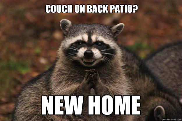 Couch on back patio? New home  Evil Plotting Raccoon