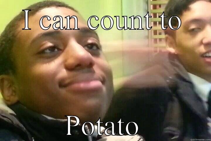 I can count to potato - I CAN COUNT TO POTATO Misc