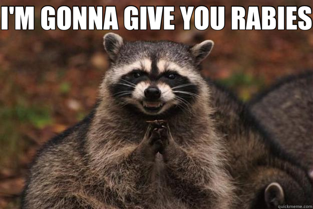 I'M GONNA GIVE YOU RABIES   Evil Plotting Raccoon