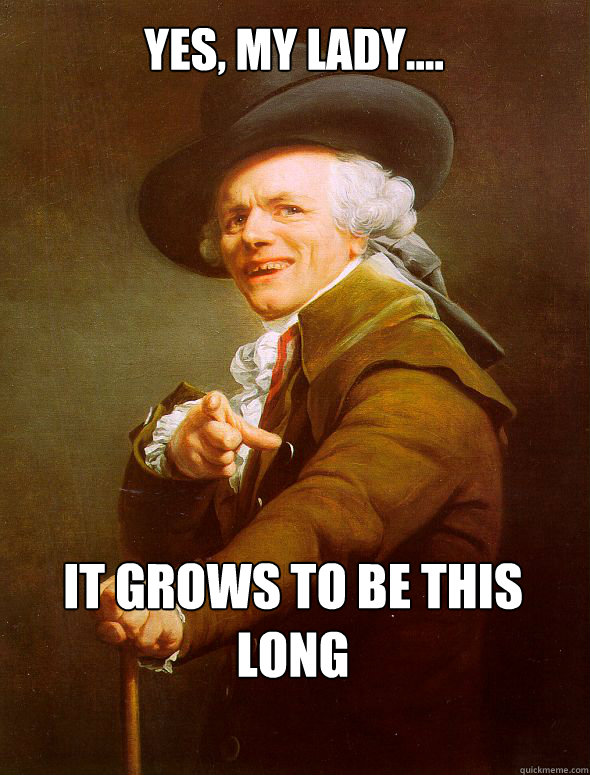 Yes, my lady.... it grows to be this long - Yes, my lady.... it grows to be this long  Joseph Ducreux