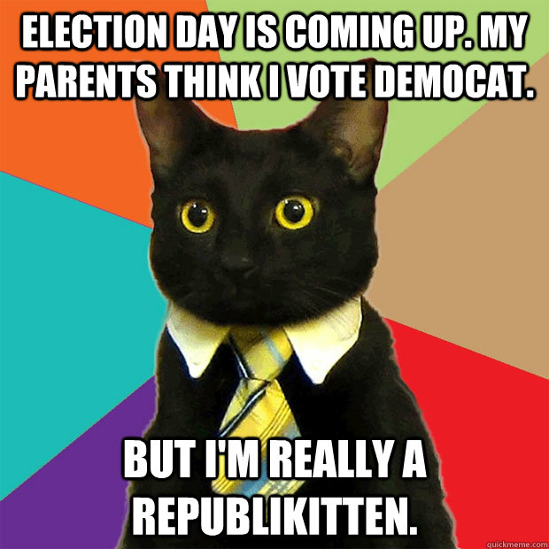 Election day is coming up. my parents think i vote democat. but i'm really a republikitten.  Business Cat