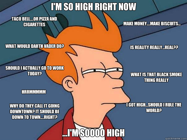 I'm so high right now ...I'm soooo high Should I actually go to work today? Is reality really...real?? Taco Bell....or pizza and cigarettes Make money....make biscuits... What is that black smoke thing really What would Darth Vader do? I got high...should - I'm so high right now ...I'm soooo high Should I actually go to work today? Is reality really...real?? Taco Bell....or pizza and cigarettes Make money....make biscuits... What is that black smoke thing really What would Darth Vader do? I got high...should  Futurama Fry