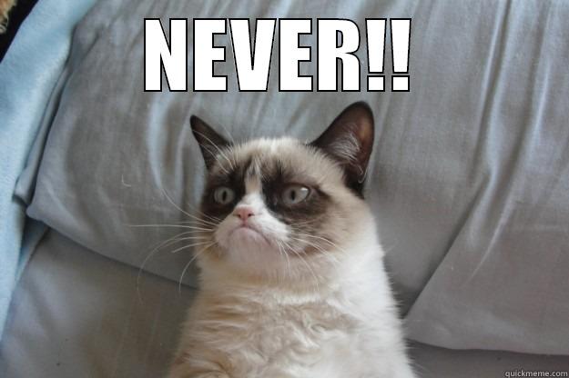 NEVER!!  Grumpy Cat