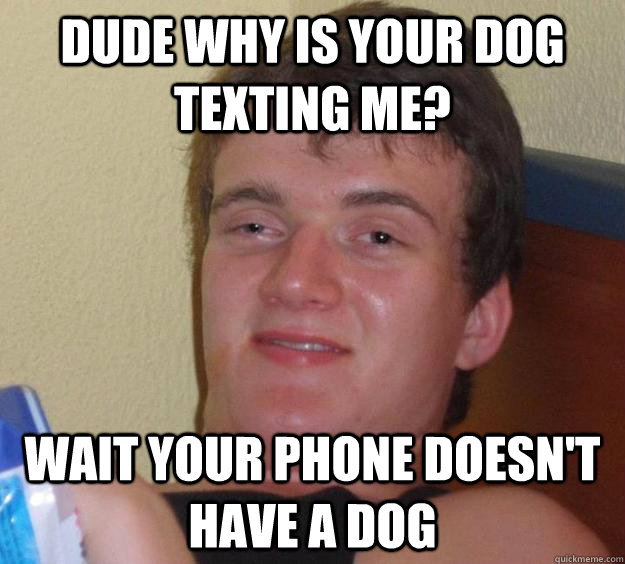 Dude why is your dog texting me? wait your phone doesn't have a dog  10 Guy