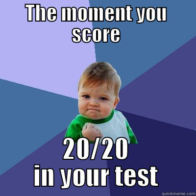 THE MOMENT YOU SCORE 20/20 IN YOUR TEST Success Kid