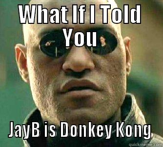 Jayb DK - WHAT IF I TOLD YOU JAYB IS DONKEY KONG Matrix Morpheus