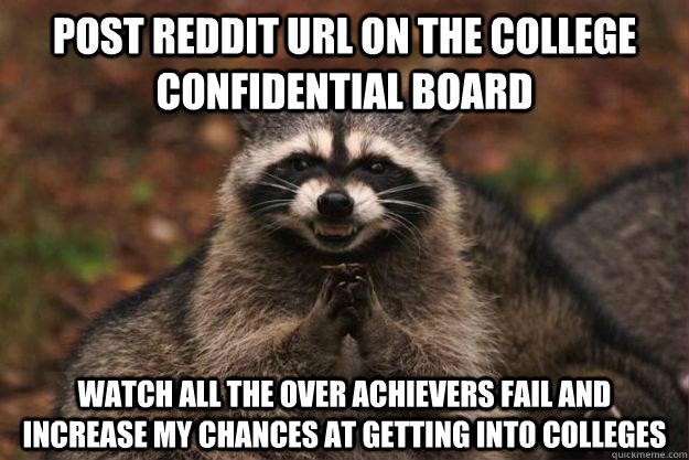 post reddit Url on the college confidential board  watch all the over achievers fail and increase my chances at getting into colleges  - post reddit Url on the college confidential board  watch all the over achievers fail and increase my chances at getting into colleges   Evil Plotting Raccoon