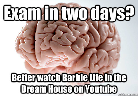 Exam in two days?  Better watch Barbie Life in the Dream House on Youtube    Scumbag Brain