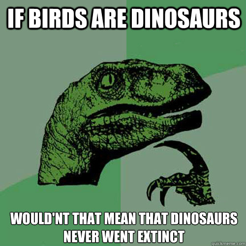 IF BIRDS ARE DINOSAURS WOULD'NT THAT MEAN THAT DINOSAURS NEVER WENT EXTINCT  Philosoraptor