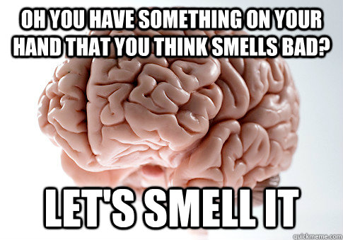 Oh you have something on your hand that you think smells bad? let's smell it  Scumbag Brain