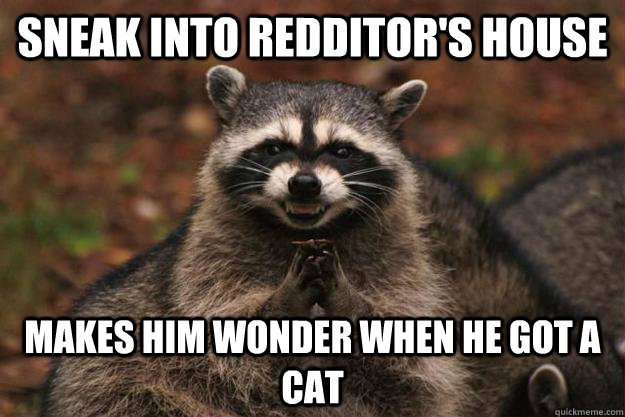 Sneak into redditor's house Makes him wonder when he got a cat  Evil Plotting Raccoon