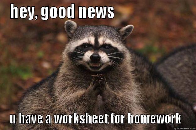 HEY, GOOD NEWS                         U HAVE A WORKSHEET FOR HOMEWORK  Evil Plotting Raccoon