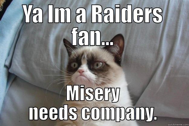 Non Fan - YA IM A RAIDERS FAN... MISERY NEEDS COMPANY. Grumpy Cat