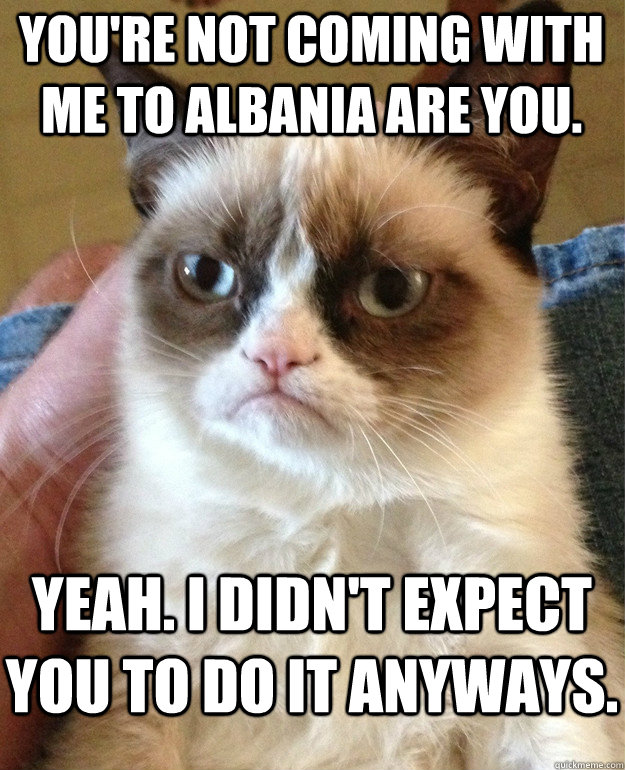 You're not coming with me to Albania are you.  Yeah. I didn't expect you to do it anyways.   Grumpy Cat