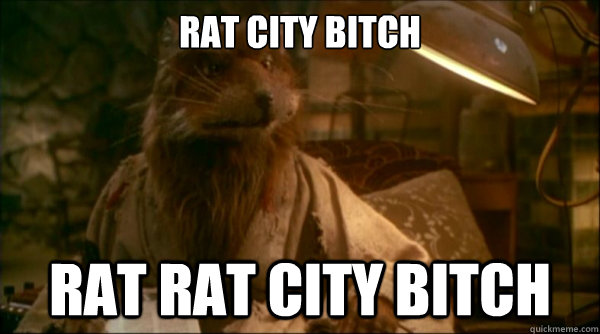 RAT CITY BITCH RAT RAT CITY BITCH  