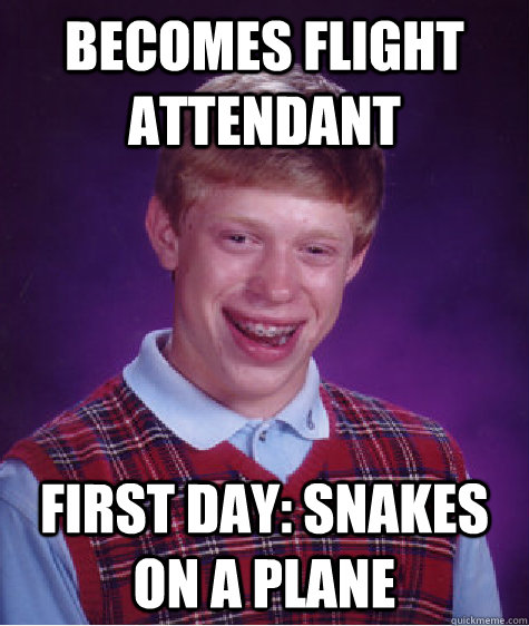 Becomes Flight Attendant First Day: Snakes on a plane - Becomes Flight Attendant First Day: Snakes on a plane  Bad Luck Brian