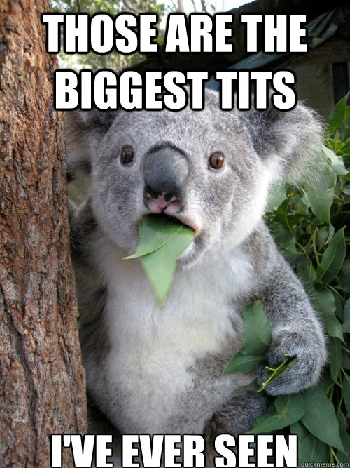 Those are the biggest tits i've ever seen  koala bear