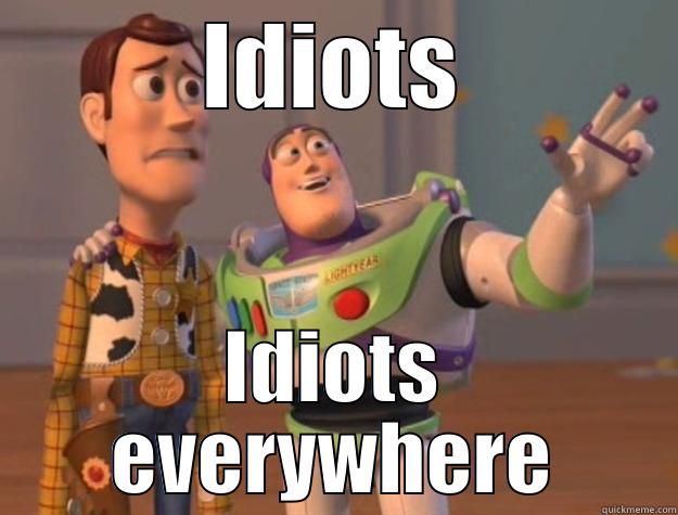 IDIOTS IDIOTS EVERYWHERE Toy Story