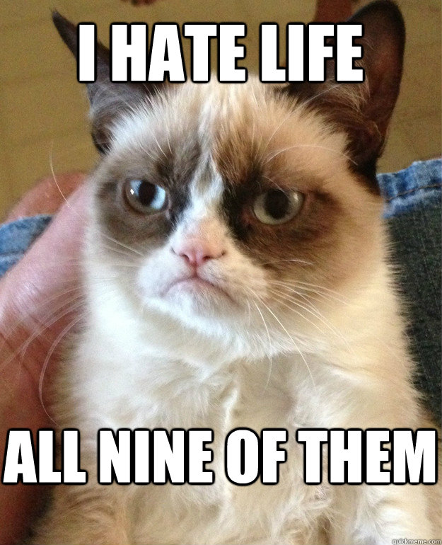 I hate life all nine of them  Grumpy Cat