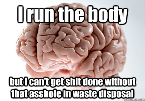 I run the body but I can't get shit done without that asshole in waste disposal   Scumbag Brain