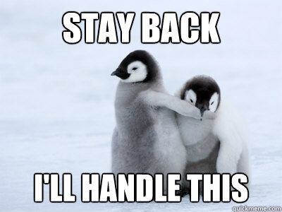 stay back i'll handle this - stay back i'll handle this  Protective Penguin