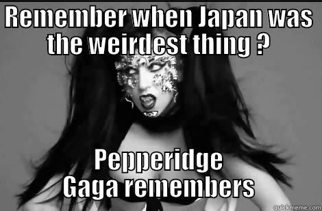 REMEMBER WHEN JAPAN WAS THE WEIRDEST THING ? PEPPERIDGE GAGA REMEMBERS Misc