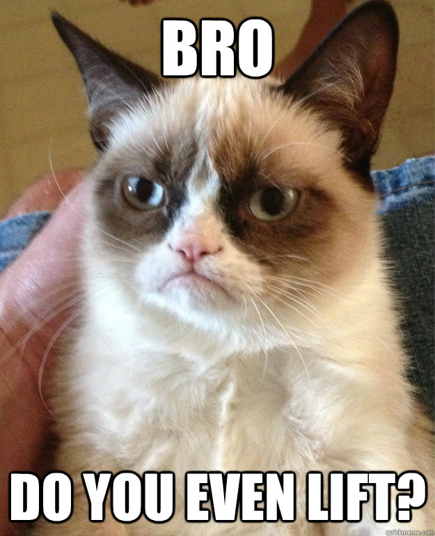 Bro Do you even lift?  Grumpy Cat