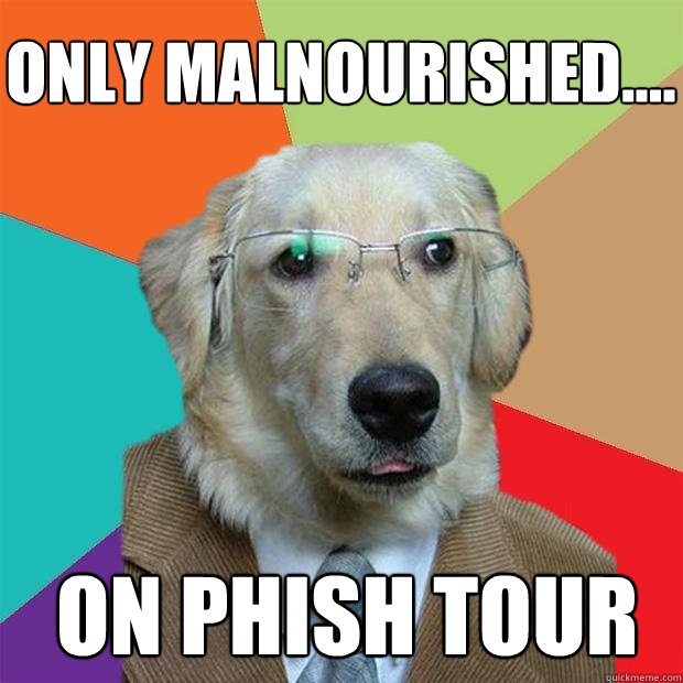 Only malnourished....
 on phish tour - Only malnourished....
 on phish tour  Business Dog