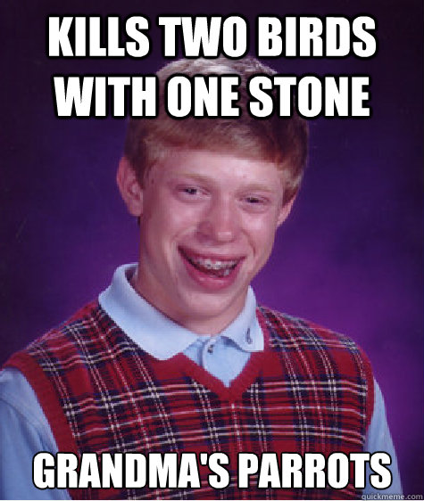 Kills two birds with one stone grandma's parrots - Kills two birds with one stone grandma's parrots  Bad Luck Brian