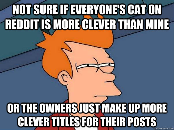 Not sure if everyone's cat on reddit is more clever than mine or the owners just make up more clever titles for their posts - Not sure if everyone's cat on reddit is more clever than mine or the owners just make up more clever titles for their posts  Futurama Fry