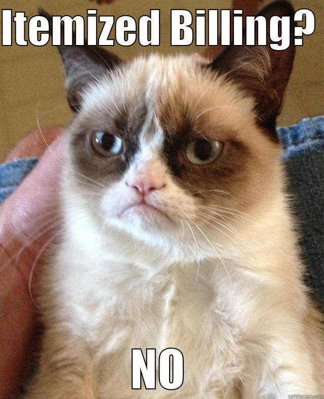 Grumpy Cat on Billing - ITEMIZED BILLING?  NO Misc