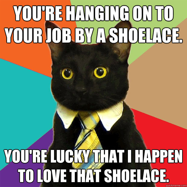 You're hanging on to your job by a shoelace. You're lucky that I happen to love that shoelace.  Business Cat