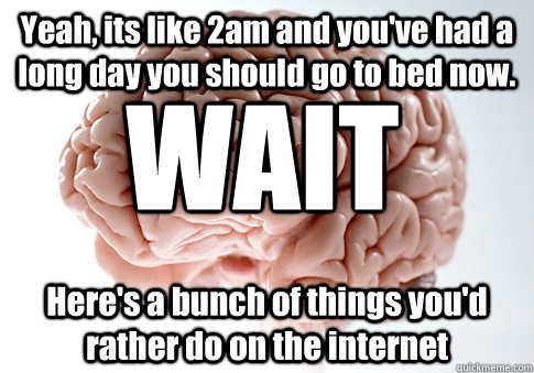 Yeah, its like 2am and you've had a long day you should go to bed now. Here's a bunch of things you'd rather do on the internet  WAIT  Scumbag Brain