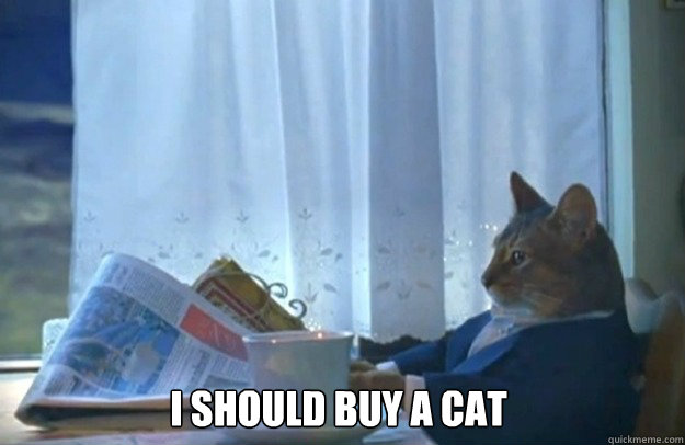 I should buy a cat  Sophisticated Cat