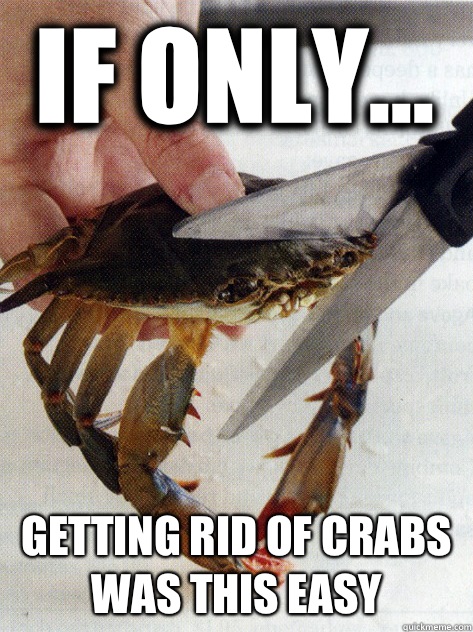 If only... Getting rid of crabs was this easy  Optimistic Crab