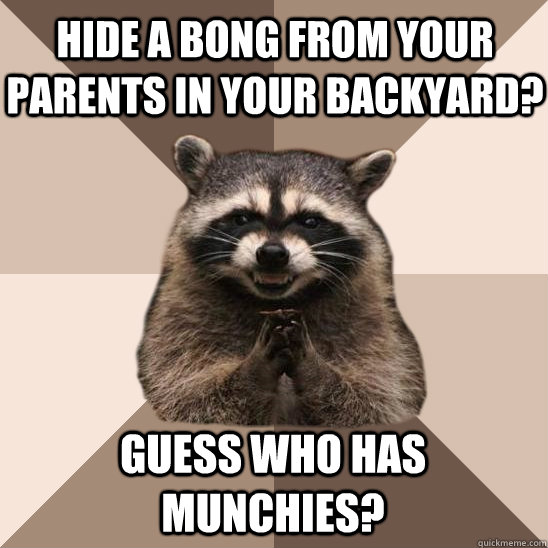 Hide a bong from your parents in your backyard? Guess who has munchies?  Evil Plotting Raccoon