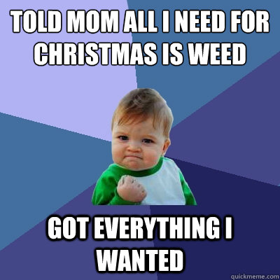 Told Mom all I need for Christmas is weed Got everything I wanted  Success Kid