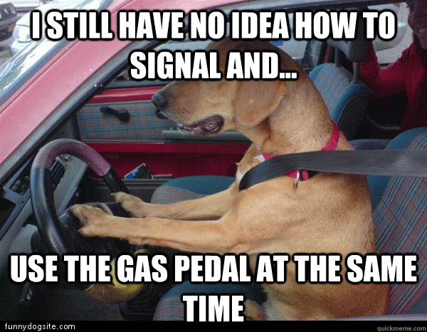 I still have no idea how to signal and... use the gas pedal at the same time  