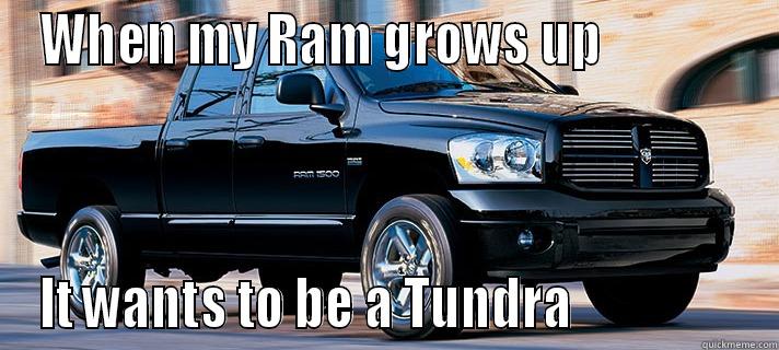 Ram this - WHEN MY RAM GROWS UP              IT WANTS TO BE A TUNDRA                 Misc