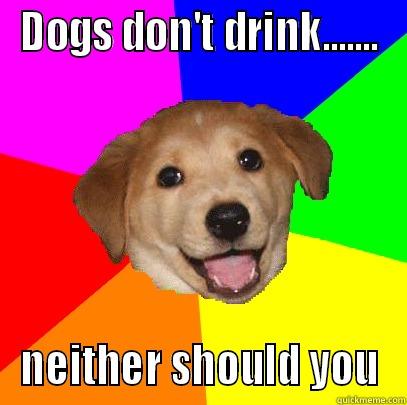 DOGS DON'T DRINK....... NEITHER SHOULD YOU Advice Dog