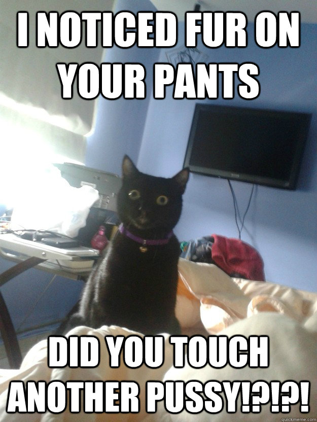 I noticed fur on your pants did you touch another pussy!?!?!  overly attached cat