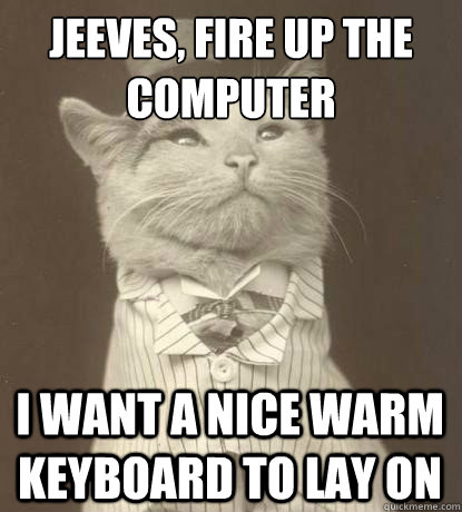 Jeeves, Fire up the computer I want a nice warm keyboard to lay on  Aristocat