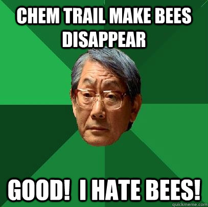 Chem Trail make bees disappear Good!  I hate BEES!  High Expectations Asian Father