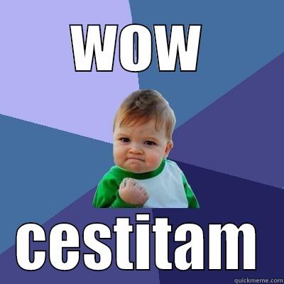 WOW CESTITAM Success Kid