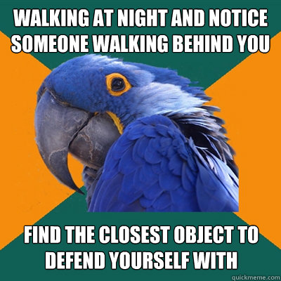 Walking at night and notice someone walking behind you find the closest object to defend yourself with - Walking at night and notice someone walking behind you find the closest object to defend yourself with  Paranoid Parrot