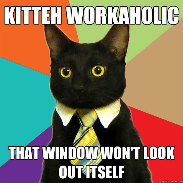 KITTEH WORKAHOLIC That window won't look out itself  Business Cat