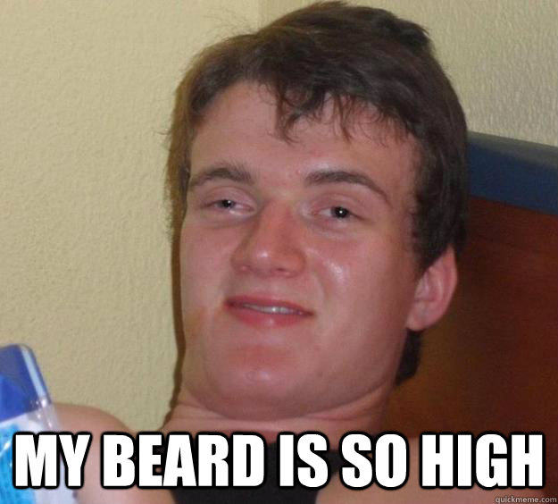  my beard is so high  10 Guy