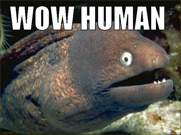 WHY ARE THEY WATCHING AT ME - WOW HUMAN  Bad Joke Eel